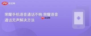 荣耀手机语音通话不响 荣耀语音通话无声解决方法