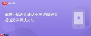 荣耀手机语音通话不响 荣耀语音通话无声解决方法