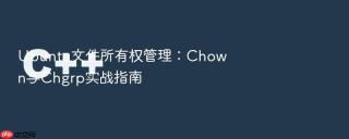 ubuntu文件所有权管理:chown与chgrp实战指南