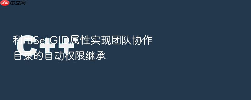 利用setgid属性实现团队协作目录的自动权限继承