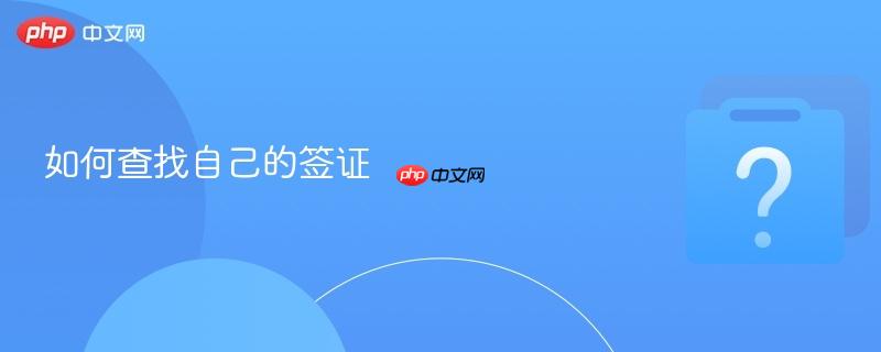 如何查找自己的签证