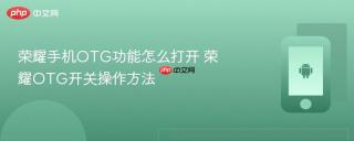 荣耀手机OTG功能怎么打开 荣耀OTG开关操作方法