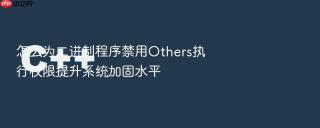 怎么为二进制程序禁用others执行权限提升系统加固水平