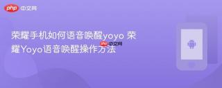 荣耀手机如何语音唤醒yoyo 荣耀yoyo语音唤醒操作方法