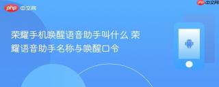 荣耀手机唤醒语音助手叫什么 荣耀语音助手名称与唤醒口令