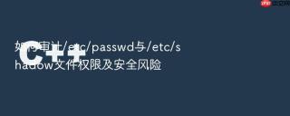 如何审计/etc/passwd与/etc/shadow文件权限及安全风险