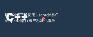 新手如何正确使用useradd与groupadd进行账户标准化管理