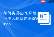 如何实现在PE环境下注入驱动并还原Windows系统