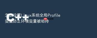 怎么设置linux系统全局profile变量防止环境变量被劫持