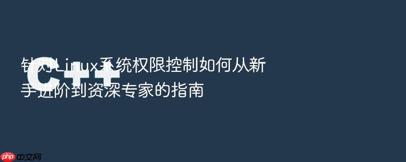 针对linux系统权限控制如何从新手进阶到资深专家的指南
