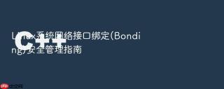 Linux系统网络接口绑定(Bonding)安全管理指南