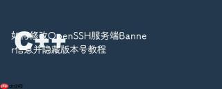 如何修改openssh服务端banner信息并隐藏版本号教程