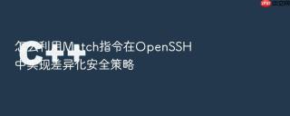 怎么利用Match指令在OpenSSH中实现差异化安全策略