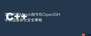 怎么利用match指令在openssh中实现差异化安全策略