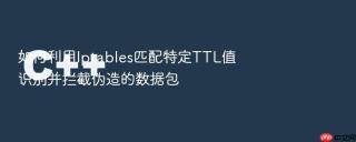 如何利用iptables匹配特定ttl值识别并拦截伪造的数据包