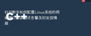 针对新手如何配置linux系统的网络接口混杂模式告警及时发现嗅探