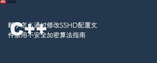 新手怎么通过修改sshd配置文件禁用不安全加密算法指南