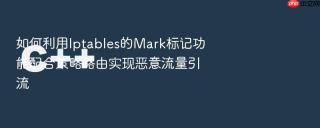 如何利用Iptables的Mark标记功能配合策略路由实现恶意流量引流
