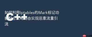 如何利用iptables的mark标记功能配合策略路由实现恶意流量引流