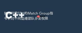 如何利用ssh的match group指令针对不同运维团队分发权限
