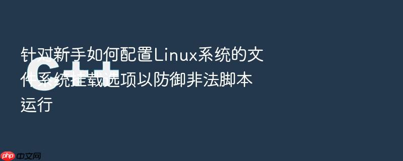 针对新手如何配置linux系统的文件系统挂载选项以防御非法脚本运行