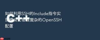 如何利用ssh的include指令实现模块化管理复杂的openssh配置