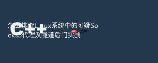怎么排查Linux系统中的可疑Socks5代理及隧道后门实战