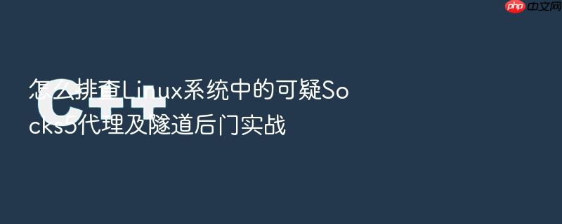 怎么排查linux系统中的可疑socks5代理及隧道后门实战