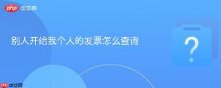别人开给我个人的发票怎么查询