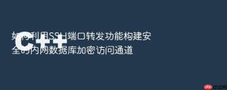 如何利用ssh端口转发功能构建安全的内网数据库加密访问通道