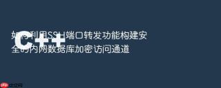 如何利用SSH端口转发功能构建安全的内网数据库加密访问通道