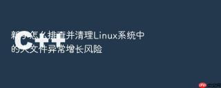 新手怎么排查并清理Linux系统中的大文件异常增长风险