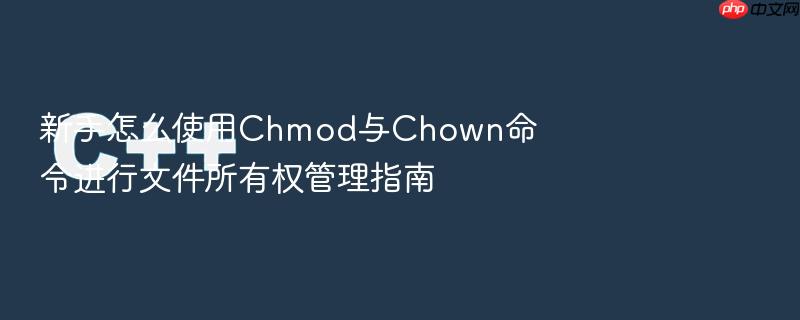 新手怎么使用chmod与chown命令进行文件所有权管理指南