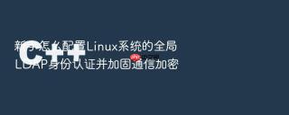 新手怎么配置linux系统的全局ldap身份认证并加固通信加密