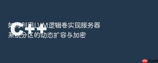 如何利用lvm逻辑卷实现服务器系统分区的动态扩容与加密