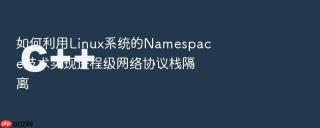 如何利用Linux系统的Namespace技术实现进程级网络协议栈隔离