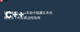 如何排查linux系统中隐藏在系统服务名下的恶意进程指南