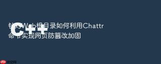 针对Web根目录如何利用Chattr命令实现网页防篡改加固