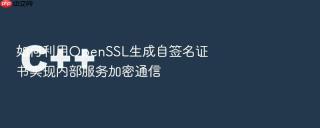 如何利用OpenSSL生成自签名证书实现内部服务加密通信