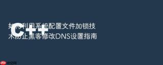 如何利用系统配置文件加锁技术防止黑客修改dns设置指南