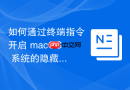 如何通过终端指令开启 macOS 系统的隐藏开发者调试菜单