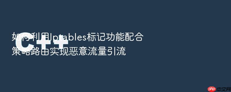 如何利用iptables标记功能配合策略路由实现恶意流量引流
