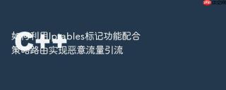 如何利用Iptables标记功能配合策略路由实现恶意流量引流