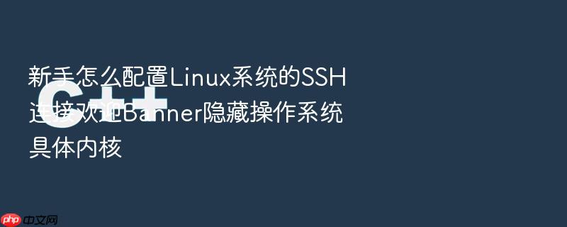 新手怎么配置linux系统的ssh连接欢迎banner隐藏操作系统具体内核