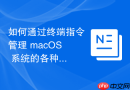 如何通过终端指令管理 macOS 系统的各种自启动服务项
