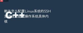 新手怎么配置linux系统的ssh欢迎信息隐藏操作系统具体内核