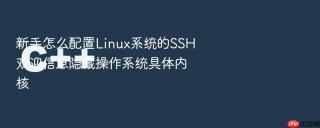 新手怎么配置Linux系统的SSH欢迎信息隐藏操作系统具体内核