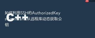 如何利用SSH的AuthorizedKeysCommand从远程库动态获取公钥
