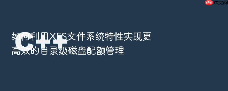 如何利用xfs文件系统特性实现更高效的目录级磁盘配额管理
