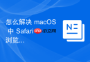 怎么解决 macOS 中 Safari 浏览器扩展程序冲突导致的假死